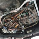 프로미월드 이미지