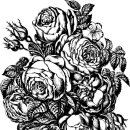 수원큰손갈비 이미지