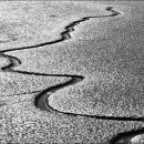 갯벌정원 이미지