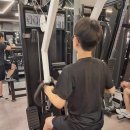 익스홀릭 가넷 이미지