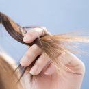 진헤어뱅크 - 전주시 완산구 효동3길 33 | 진헤어뱅크
