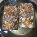 송암농장(2) 이미지