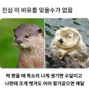 해달 - 공주시 공주대학로 94-3 | 해달