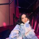 핑크버니 이미지