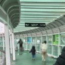 제주 렌트카 여행 1박2일 제주도 렌트카 할인