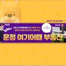 여기어때공인중개사사무소 이미지