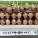 인푸드시스템