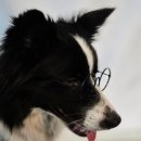 블루멍S 이미지