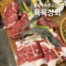 육육상회 이미지