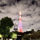 동패초,고등학교 앞 교차로-1 | 도쿄 가볼만한곳 3박 4일 여행 필수 코스 일정 추천