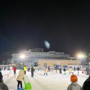 시흥 거북섬 스케이트 썰매장 주차 예약 가격 후기
