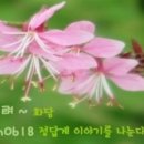삼거동 고인돌군 네이버블로그
