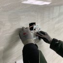 한진해모르 이미지