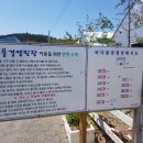 바다물결캠핑장 이미지