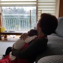 베스트산후조리원 이미지