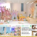 브리티쉬숏헤어 캐터리 | 골드 브리숏 캐터리 꼬마숙녀의 스파데이