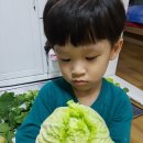 지환농장 이미지