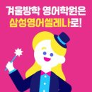 삼성영어베리타스어학원
