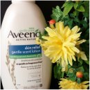 글리디 | [아비노 ] 스킨 릴라프 젠틀 센트 환절기 바디로션 체험후기!!!