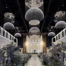 반야월로 | 대구 동구예식장 추천 : 칼라디움웨딩 리뉴얼 최근후기