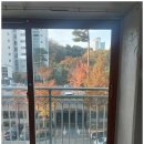 백화가스 | 대전유리 교체 백화현상 발코니 한방에 해결