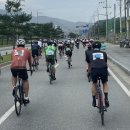 월산빌 | [윌리어] '2022 양평그란폰도' 대회 출전기 / 메디오폰도 코스