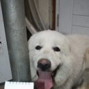 새말편의점 이미지