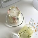 데이오브유 이미지