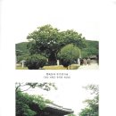 신흥인쇄소 이미지