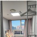 스테이이즈송내레이디