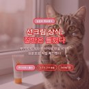 유기자차 무기자차 상식이 틀렸다, 선크림 편법 4가지와 진짜 추천템