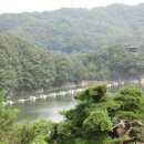 옥 천 Daum카페