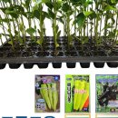 제일농약사2 이미지