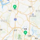 대전 강아지분양 고양이분양 파라다이스펫본점 네이버블로그