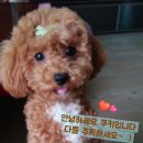 메르벨르리조트