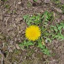 천지2농장 이미지