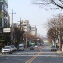 일미닭갈비파전 이미지