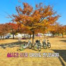 그늘막63 | 여의도 한강공원 1주차장 배달존 서울 단풍 명소