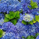 제주영지학교 이미지