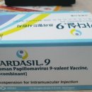 성심내과의원 이미지