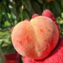 함안어탕 이미지