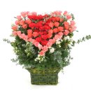 선플라워 이미지