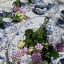 로얄피시 이미지