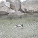 종로5.6가동 이미지