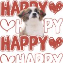 실용적인 압화 에코백 | 내돈내산 포메모리즈 반려동물 커스텀 티셔츠 에코백 굿즈 제작