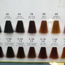 엘샤론코리아 이미지