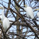 권율대로 이미지