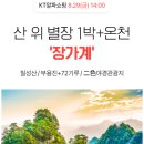 알파항공여행사