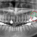 본정치과의원 이미지