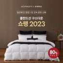 [소프라움 X 롯데 공동기획] 폴란드산 프리미엄 구스다운 이불 쇼팽 2023